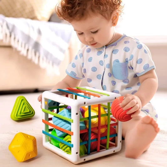 baby toddler montessori sensory toy gift birthday christmas 1 2 3 4 5 6 year old shape sorter